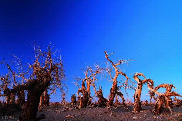 額濟納不只是有胡楊林,還有一段魔幻的歷史,請記住這個強盜 額濟納不只是有胡楊林,還有一段魔幻的歷史,請記住這個強盜
