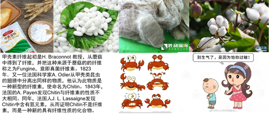 可降解塑膠的前世、今生和來世（中）：可降解材料的鏡花緣