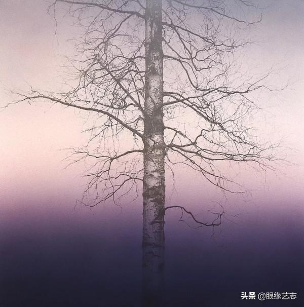 1440個小時的涅槃之畫：黎明之樹，佐藤裕一郎的心之風景