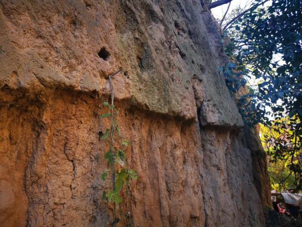 城池?墓冢?還是祭壇?赤眉背後有故事 城池?墓冢?還是祭壇?赤眉背後有故事