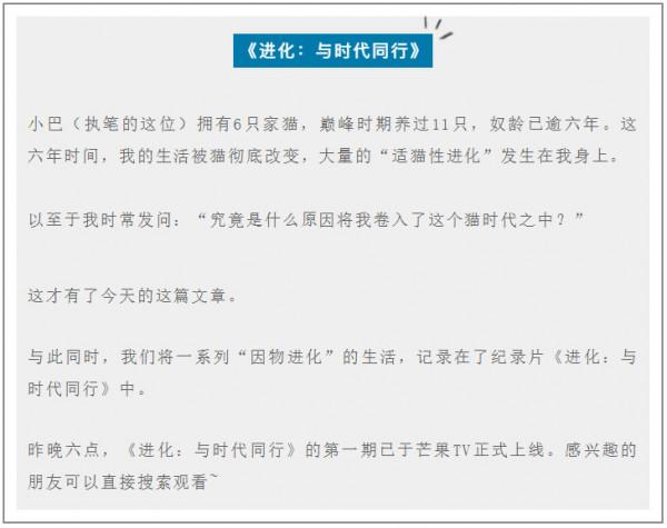 我們都在被捲入貓時代 我們都在被捲入貓時代
