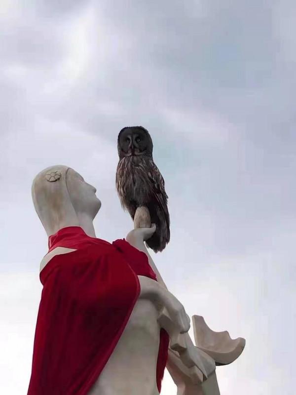 圖里河地區野生動物頻亮相 圖里河地區野生動物頻亮相