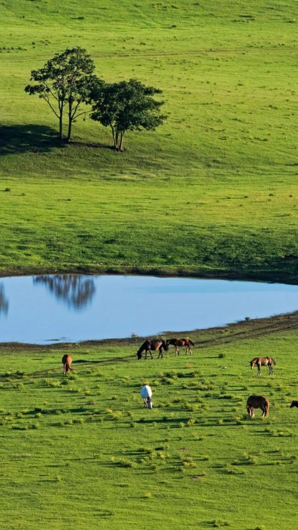 國內哪些地方最適合女生旅行?收下這份清單,馬上就可以出發 國內哪些地方最適合女生旅行?收下這份清單,馬上就可以出發
