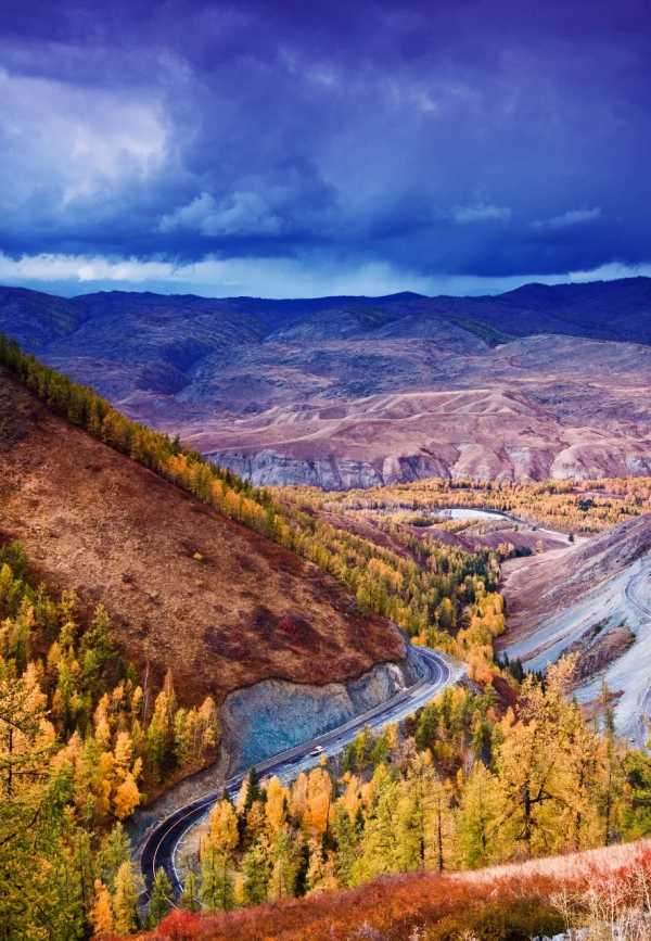 新疆剛下雪，小夥伴不淡定了：原來冬天的新疆是這樣的