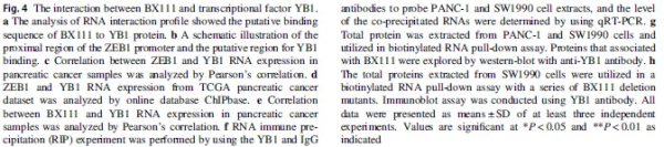 讓你的lncRNA擺脫miRNA的束縛(中) 讓你的lncRNA擺脫miRNA的束縛(中)