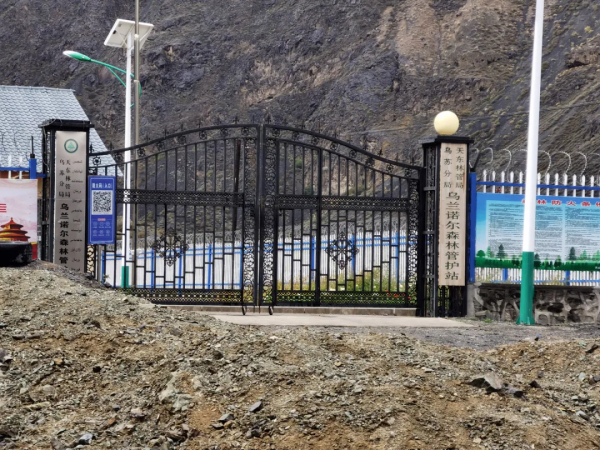 孟克德：金黃暴擊，意外心動