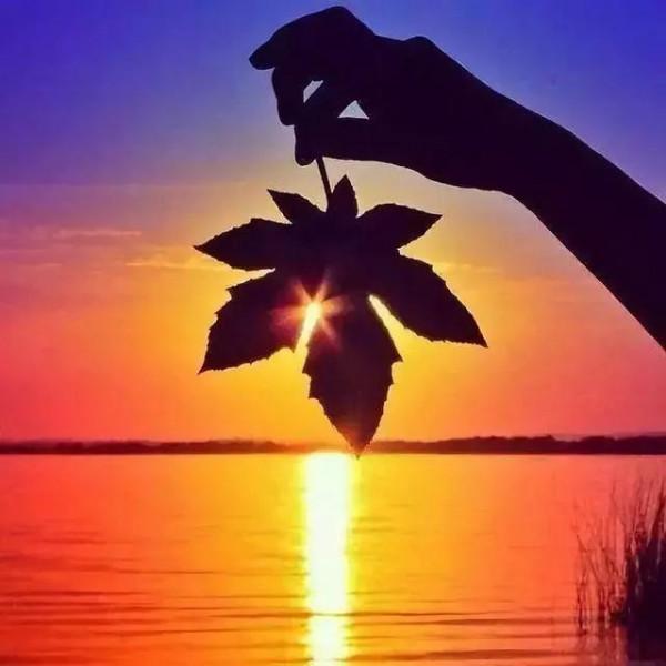 積極的心態是成功的法寶