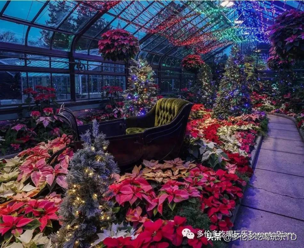 燈展、花展、聖誕集市…7個尼亞加拉瀑布冬季玩法已備好