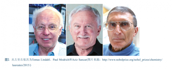 諾貝爾化學獎鍾情於基因組DNA“修理工” 諾貝爾化學獎鍾情於基因組DNA“修理工”