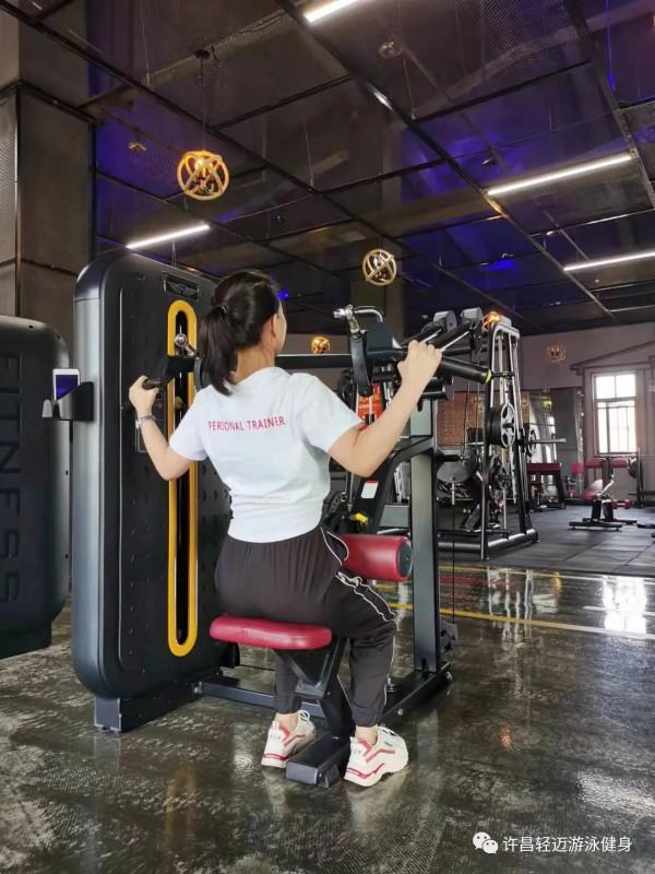 背部的訓練動作有哪些?該怎麼做 背部的訓練動作有哪些?該怎麼做