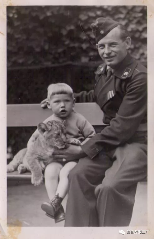 沒救了，燉了吧：二戰中的德國柏林動物園