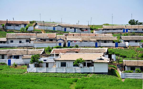 朝鮮人用什麼方法增加糧食產量? 朝鮮人用什麼方法增加糧食產量?