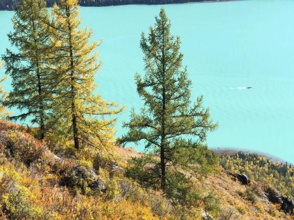 從禾木到喀那斯