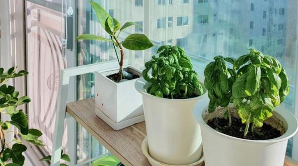 韓國主婦的日常生活，105㎡勤收拾，家中每一處都乾淨得像樣板間