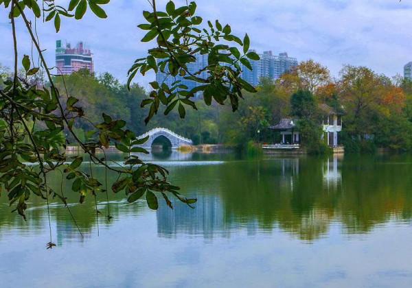 我的幸福生活——兒子（二）