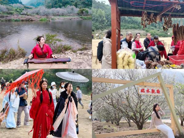 四甲河畔,“梅”好之約——開啟河頭步郎的賞梅之旅 四甲河畔,“梅”好之約——開啟河頭步郎的賞梅之旅