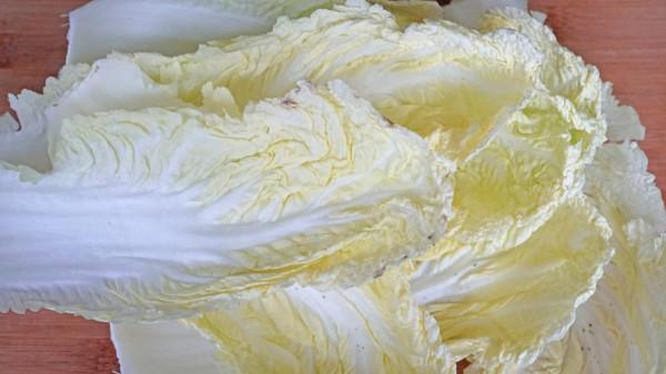 入秋了,推薦7道好吃的家常菜,貼秋膘跟著吃,營養均衡更養人 入秋了,推薦7道好吃的家常菜,貼秋膘跟著吃,營養均衡更養人