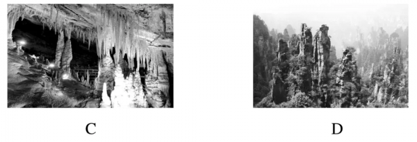 2022屆高三一輪專題複習訓練31:地殼物質迴圈專題訓練 2022屆高三一輪專題複習訓練31:地殼物質迴圈專題訓練