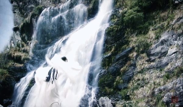 打戲像跳舞就別尬吹了，11位武打女星告訴你，什麼是拳拳到肉