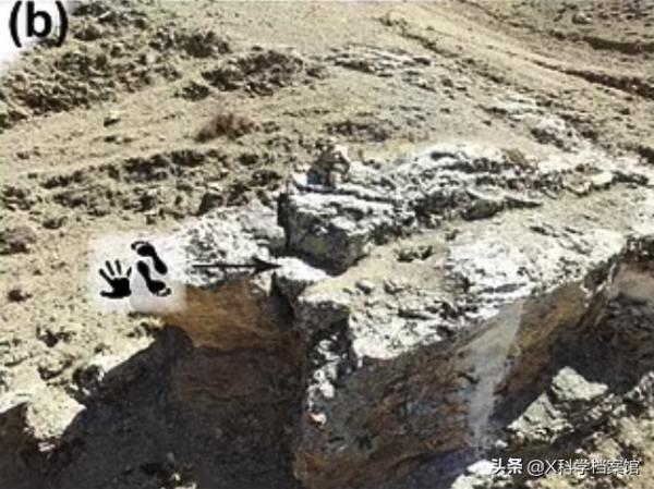 青藏高原考古新發現，22萬年前兒童史前塗鴉，顛覆了科學家的認知