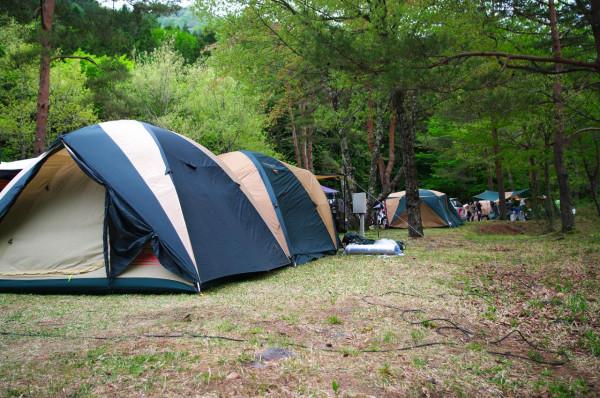 看了這些,你還想去日本旅遊嗎? 看了這些,你還想去日本旅遊嗎?