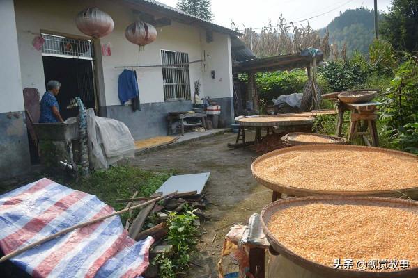 4個女兒出嫁,72歲奶奶和老伴分成2個“家”,看生活成啥樣 4個女兒出嫁,72歲奶奶和老伴分成2個“家”,看生活成啥樣