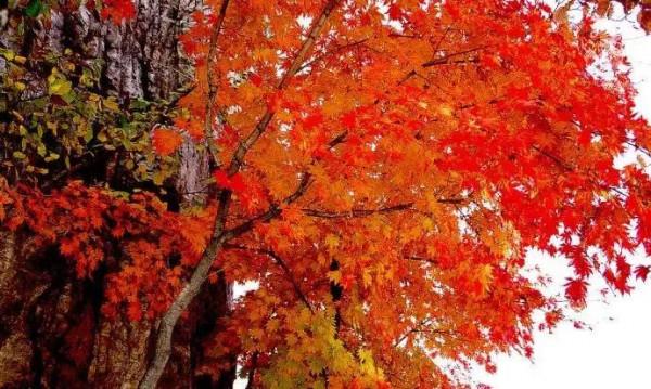 人到中年，50歲的70後，你的人生下半場怎樣安排？活得通透了嗎？