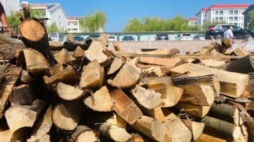 高校支起大鐵鍋做全魚宴！連吃十天不要錢……