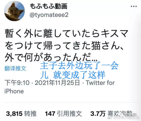 著名童星偷偷整了容 這差別也太大了吧 著名童星偷偷整了容 這差別也太大了吧