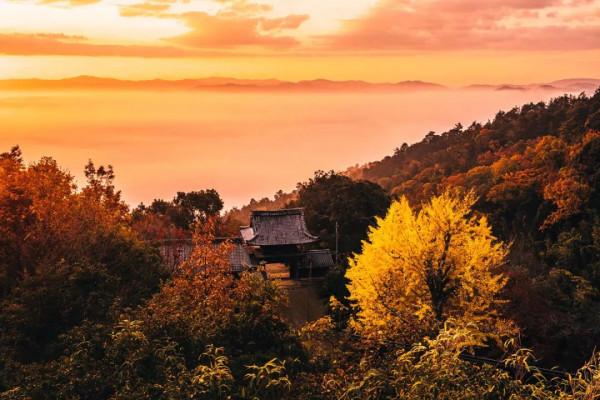 京都旅行 | 小眾京都 恍若仙境的千手寺雲海