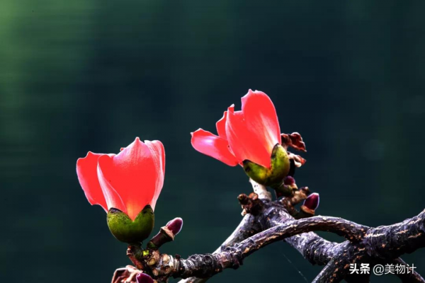 餘生，願你有恰到好處的幸福