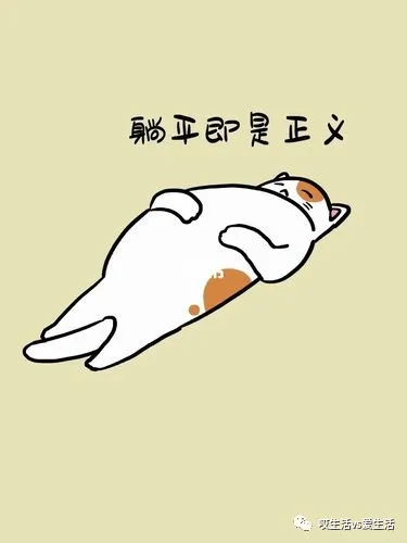 有這錢拿去看下腦子不好嗎？