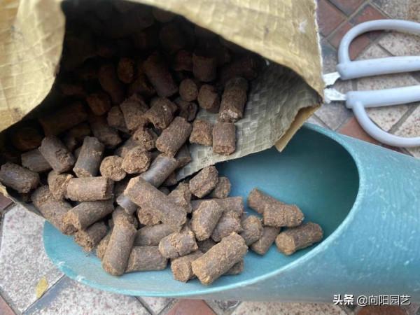 雞糞,牛糞,羊糞,哪種肥料好用?養花用雞糞,種菜用牛糞 雞糞,牛糞,羊糞,哪種肥料好用?養花用雞糞,種菜用牛糞