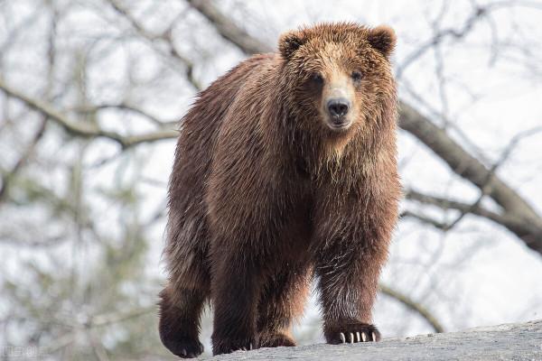 全世界60個國家的珍稀國寶