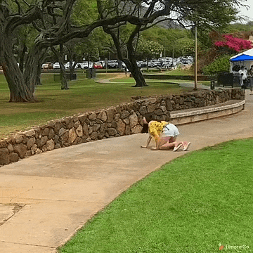 日本一個叛逆期的少年因為叛逆，決定叛逆期的自己不叛逆了