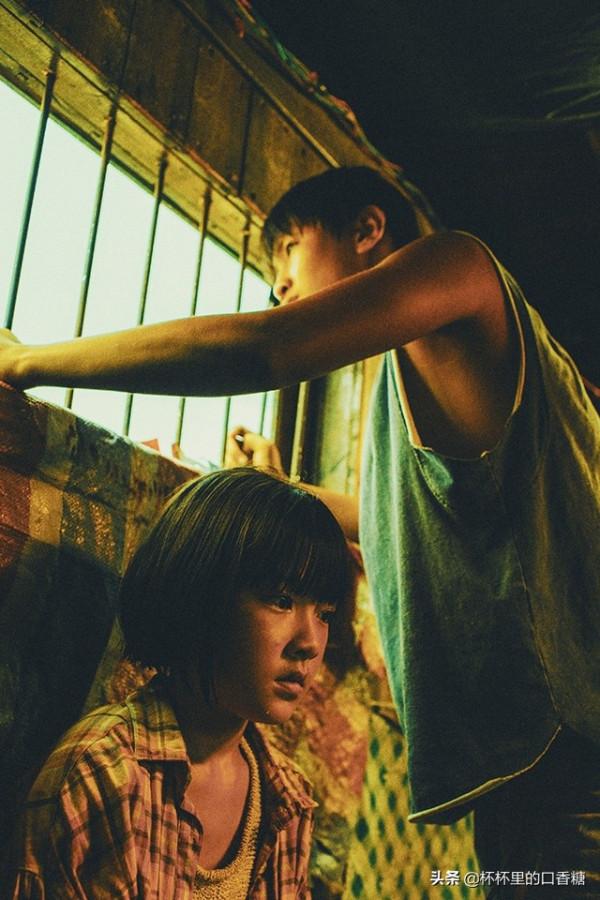 熱門懸疑劇評分榜TOP10！《開端》第四《隱秘的角落》第三