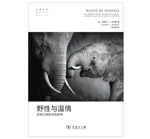 當孩子發脾氣時，你可以先閉嘴一會兒