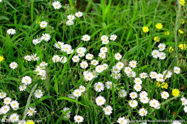 人生修為：遭受挫折者，貴在不忘初心；功成名遂者，貴在慎終如始