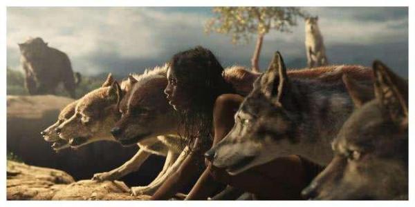 狼為啥不吃人類孩子，反而養成狼孩？背後另有隱情