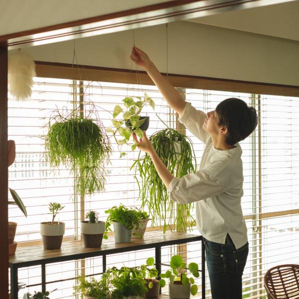 50歲的主婦，收拾出精緻小屋，用滿屋綠植，裝點出詩意棲居