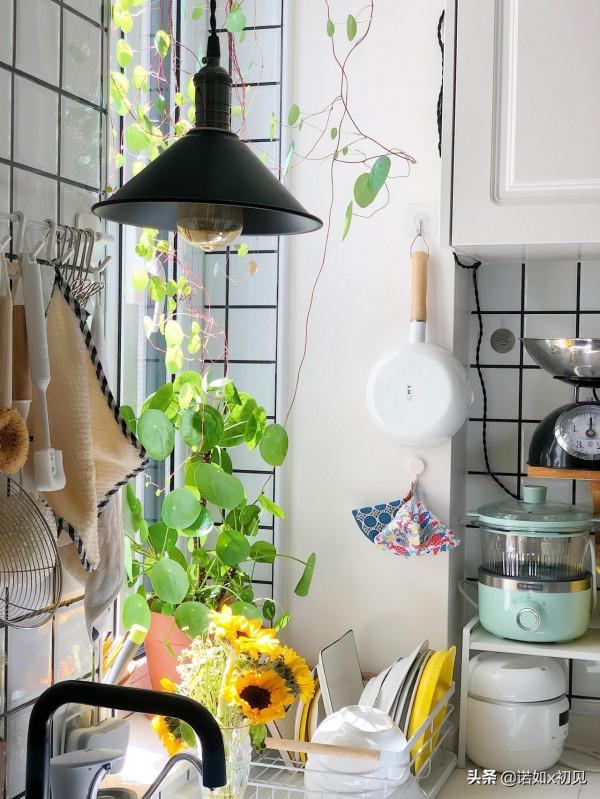 有誰能抵擋住爬藤植物帶來的快樂