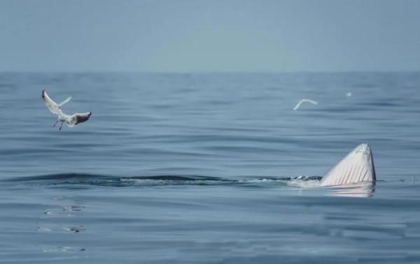 國內這些絕美海島等你打卡！一起get科幻鉅製《沙丘》同款取景地