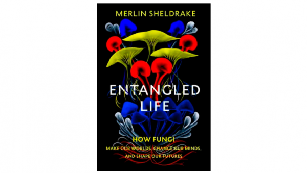 2021年英國皇家學會科學圖書獎公佈，講述真菌的科普作品獲獎