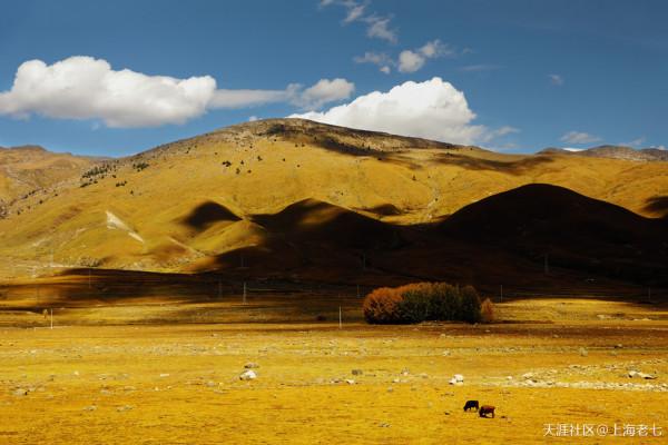 別人的生活:退休了 開始自駕遊 別人的生活:退休了 開始自駕遊