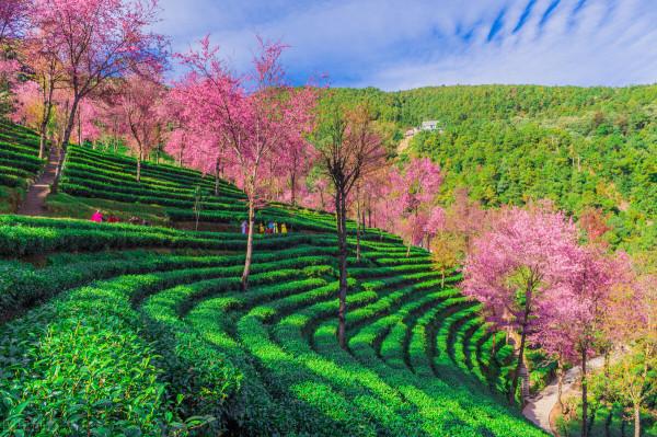 推薦8個國內適合12月旅行的目的地，再給自己安排一場旅行吧