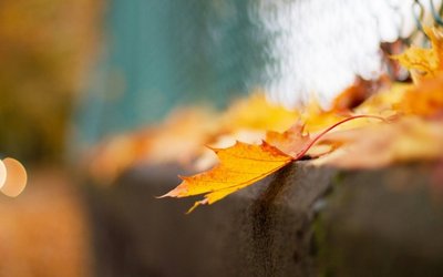 女人從年輕到年老 會經歷怎樣的心酸，看看你中了幾條，最少中兩條