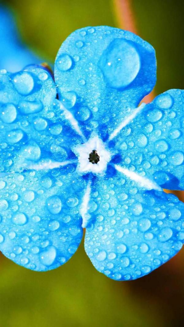 在營養學中飲食健康的幾條建議（一）