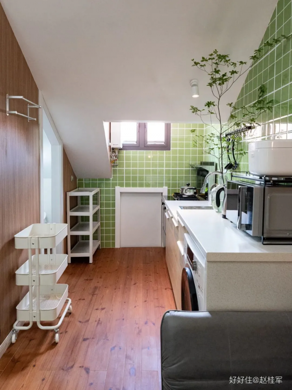 老年人的獨居生活，可比你們想的帶勁多了