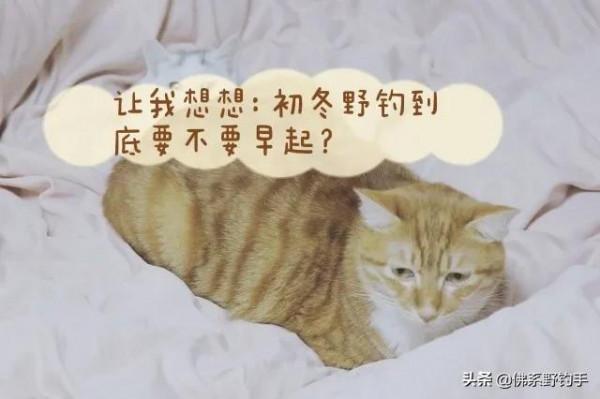 初冬野釣,是狠心早起可連桿,還是水溫升高能爆護,看完不再糾結 初冬野釣,是狠心早起可連桿,還是水溫升高能爆護,看完不再糾結