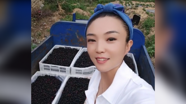 君妹:農村姑娘退伍回老家創業,承包300畝果園一夜爆紅網路 君妹:農村姑娘退伍回老家創業,承包300畝果園一夜爆紅網路